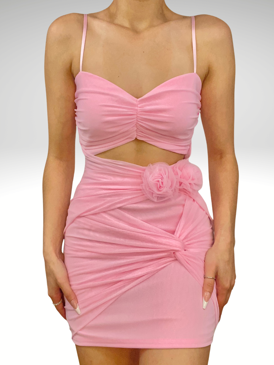Vibes on Vibes dress (Pink)